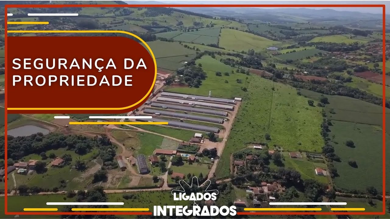 Seguro rural para aves e suínos: entenda como funciona e sua importância