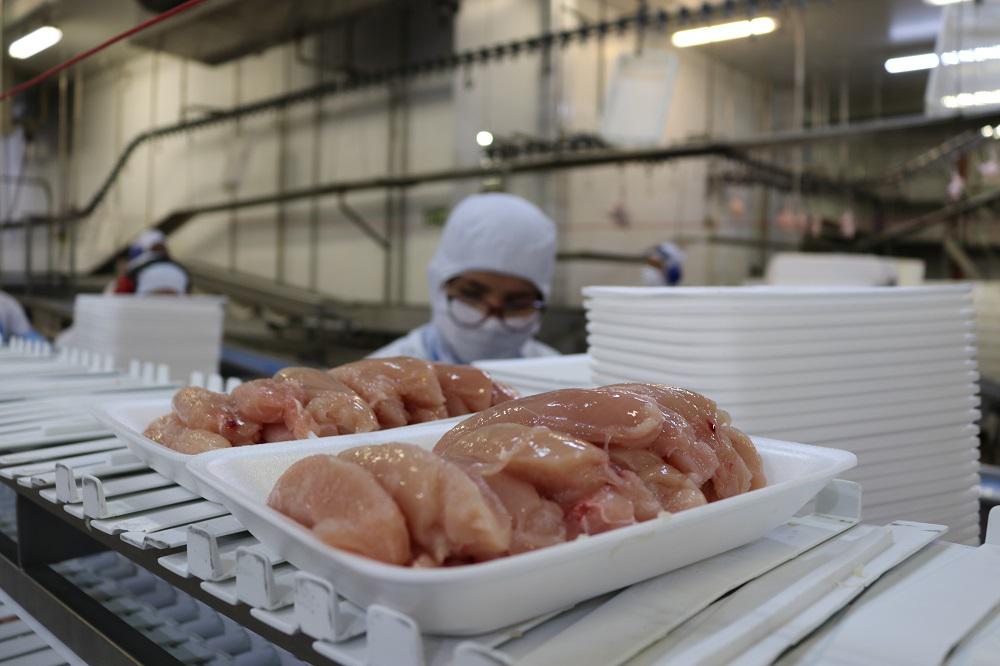 Exportações de carne de frango crescem 21,3% em setembro