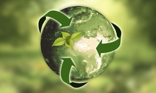 Sustentabilidade e a aptidão setorial