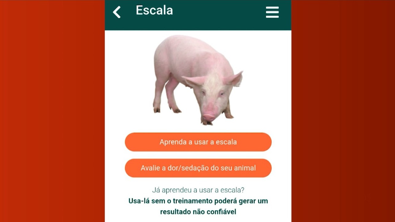 Aplicativo identifica e avalia dores em animais de produção