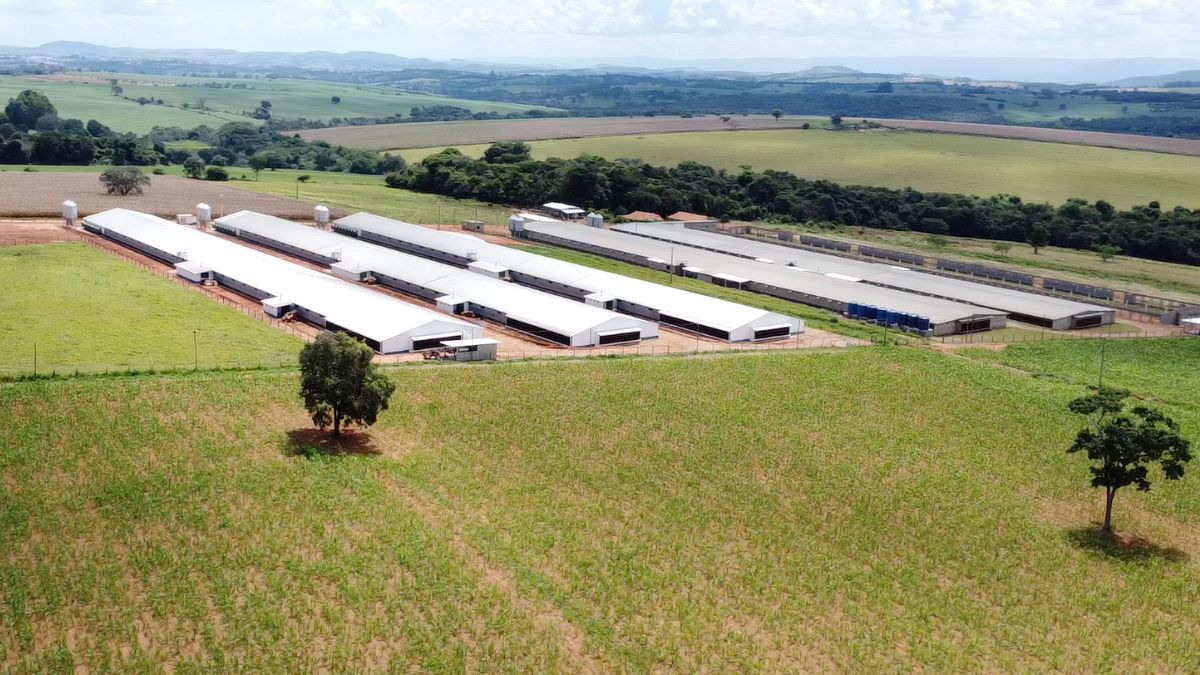 granja, imagem aérea, ligados e integrados