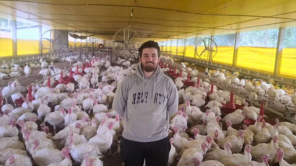 O que levou o jovem agricultor Felipe Susin a trabalhar com criação de perus?