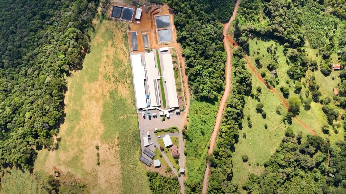 Suinocultura familiar: história de superação, tecnologia e amor ao campo