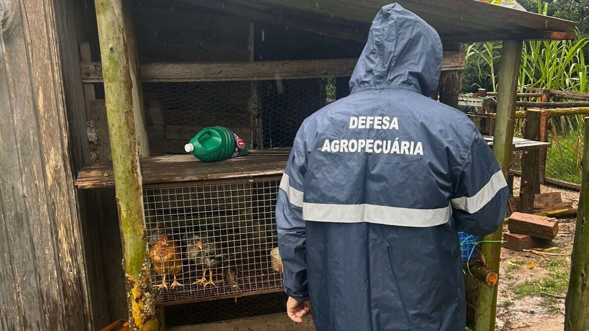Foto: Divulgação/Seapi 