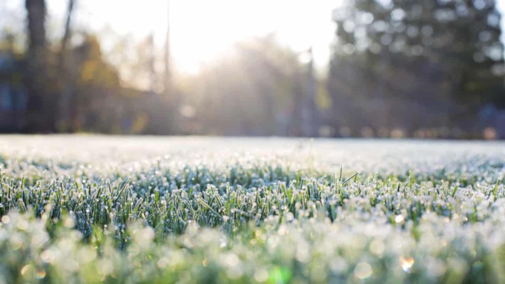 Calor, seca e doenças respiratórias: os desafios do inverno no campo em 2025