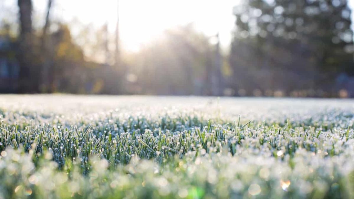 Calor, seca e doenças respiratórias: os desafios do inverno no campo em 2025