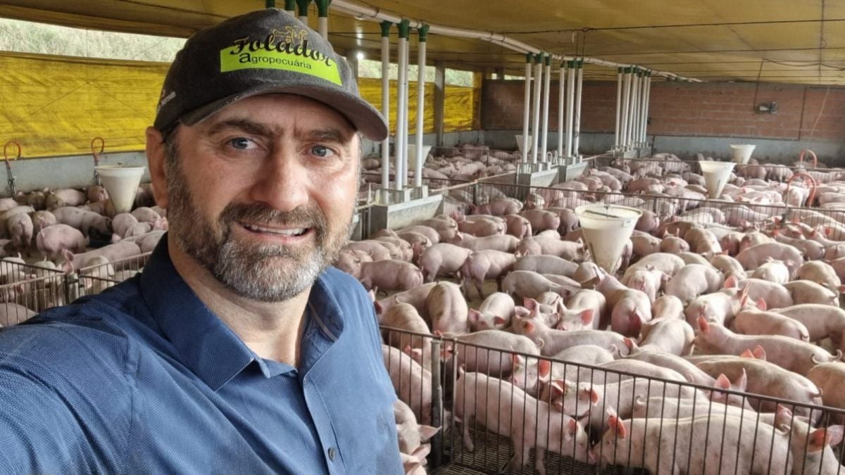 Suinocultores e suinocultoras são protagonistas na produção de alimentos e na construção de um Brasil que dá certo