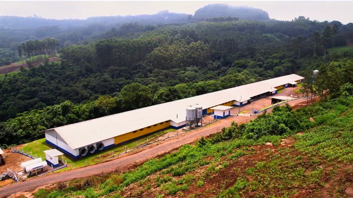 Avicultura brasileira é celebrada com homenagem especial