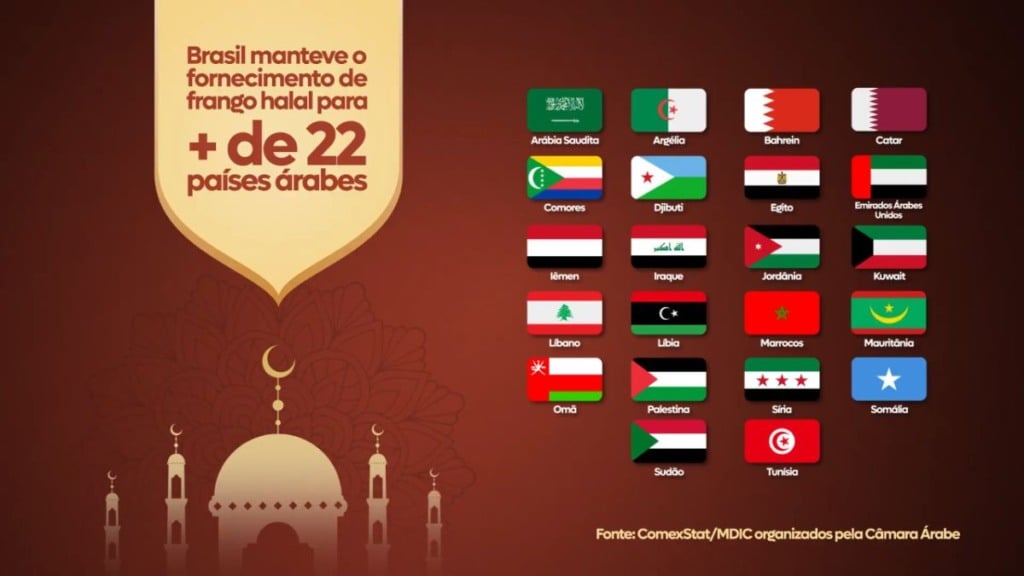 Exportação de frango halal se mantém firme mesmo com gripe aviária