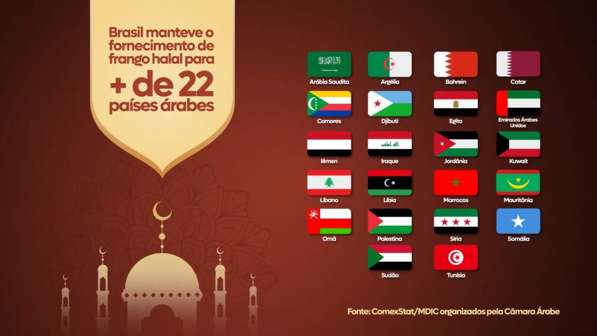 Exportação de frango halal se mantém firme mesmo com gripe aviária