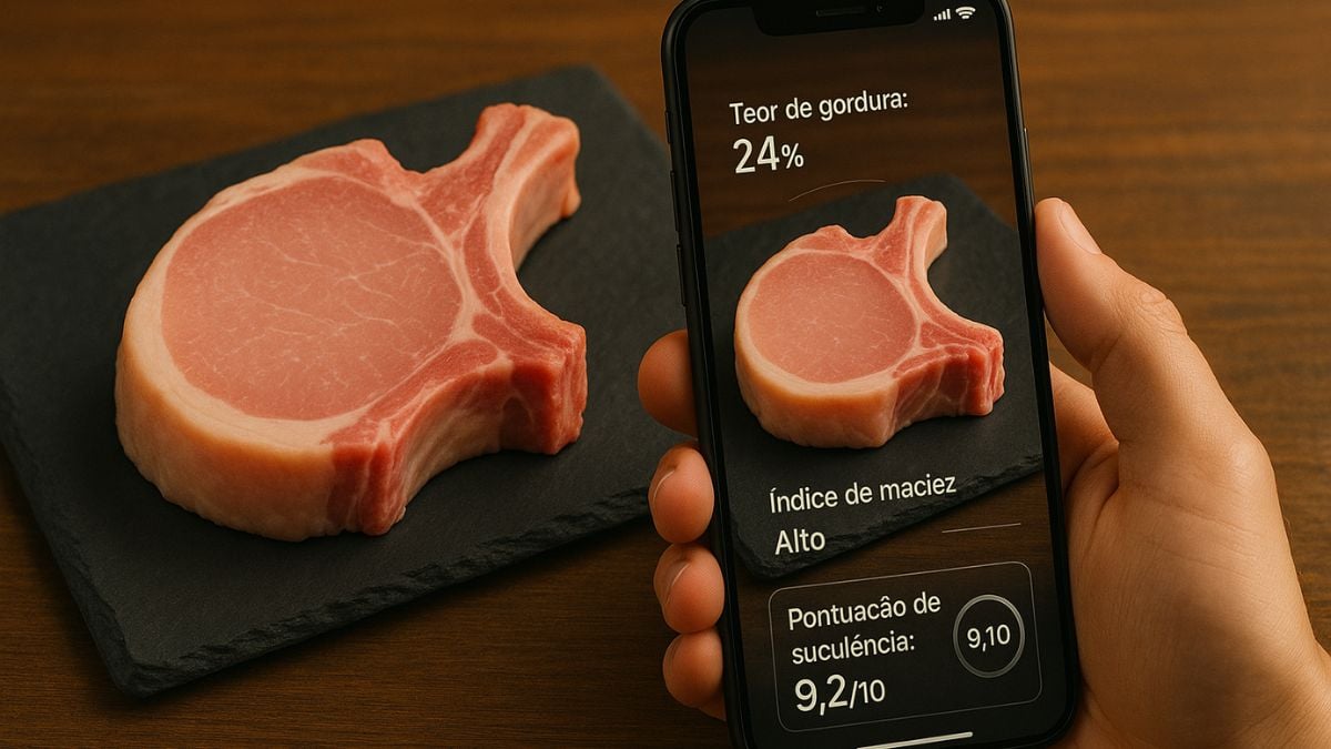Inteligência artificial na escolha da carne chega ao supermercado