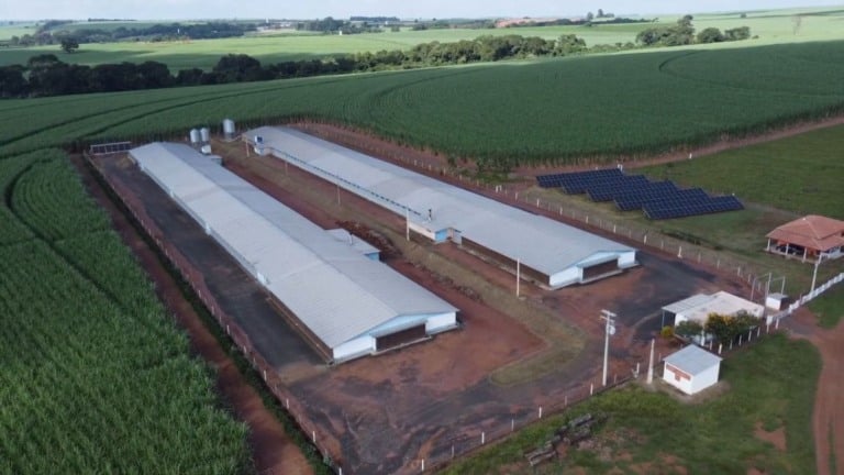 Segurança elétrica nas granjas é prioridade para evitar prejuízos