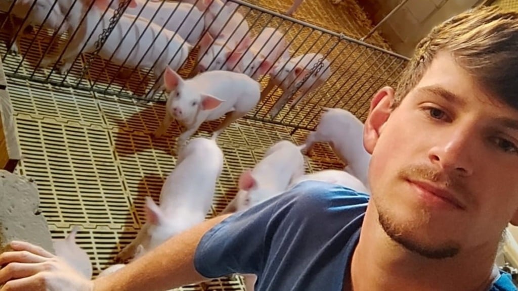 'Eu nunca quis sair daqui': jovem produtor mostra que o futuro do campo une paixão e inovação 'Eu nunca quis sair daqui': jovem produtor mostra que o futuro do campo une paixão e inovação