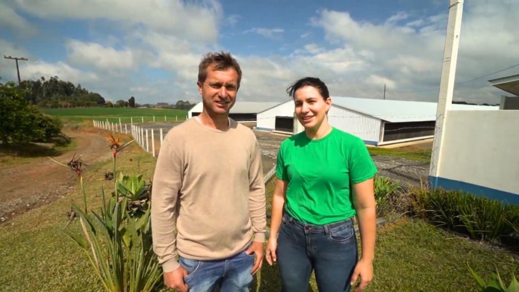 No interior do Paraná, irmãos transformam lavoura de fumo em granja modelo