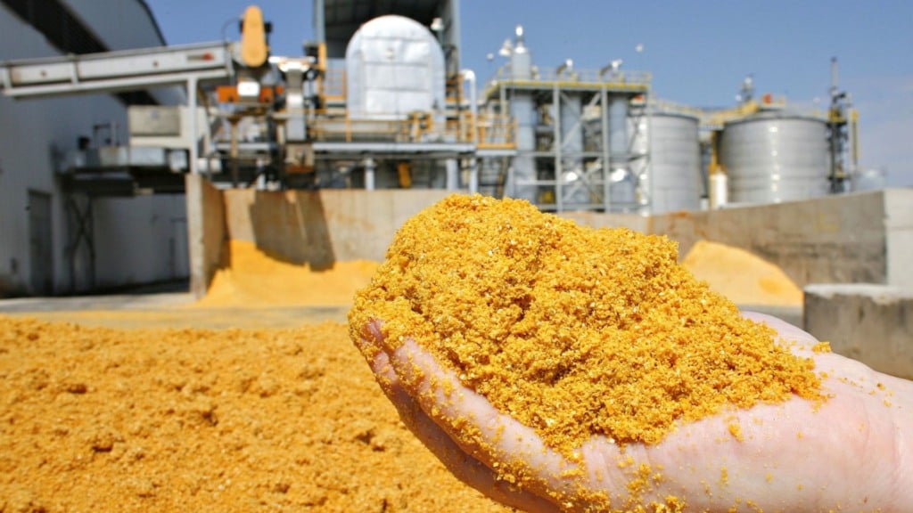 DDG ganha espaço na ração animal e reduz custos na produção de aves e suínos DDG ganha espaço na ração animal e reduz custos na produção de aves e suínos