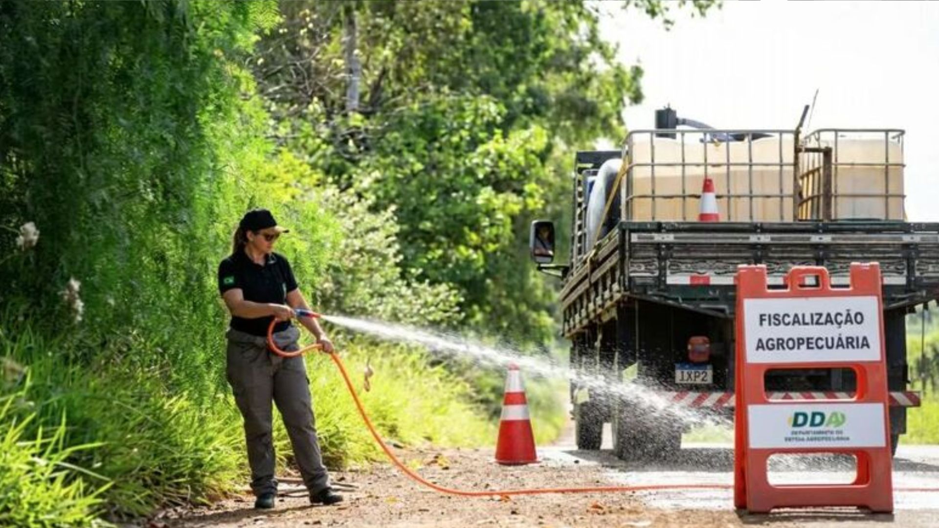 ABPA reforça cuidados de como blindar sua granja contra vírus no retorno das viagens