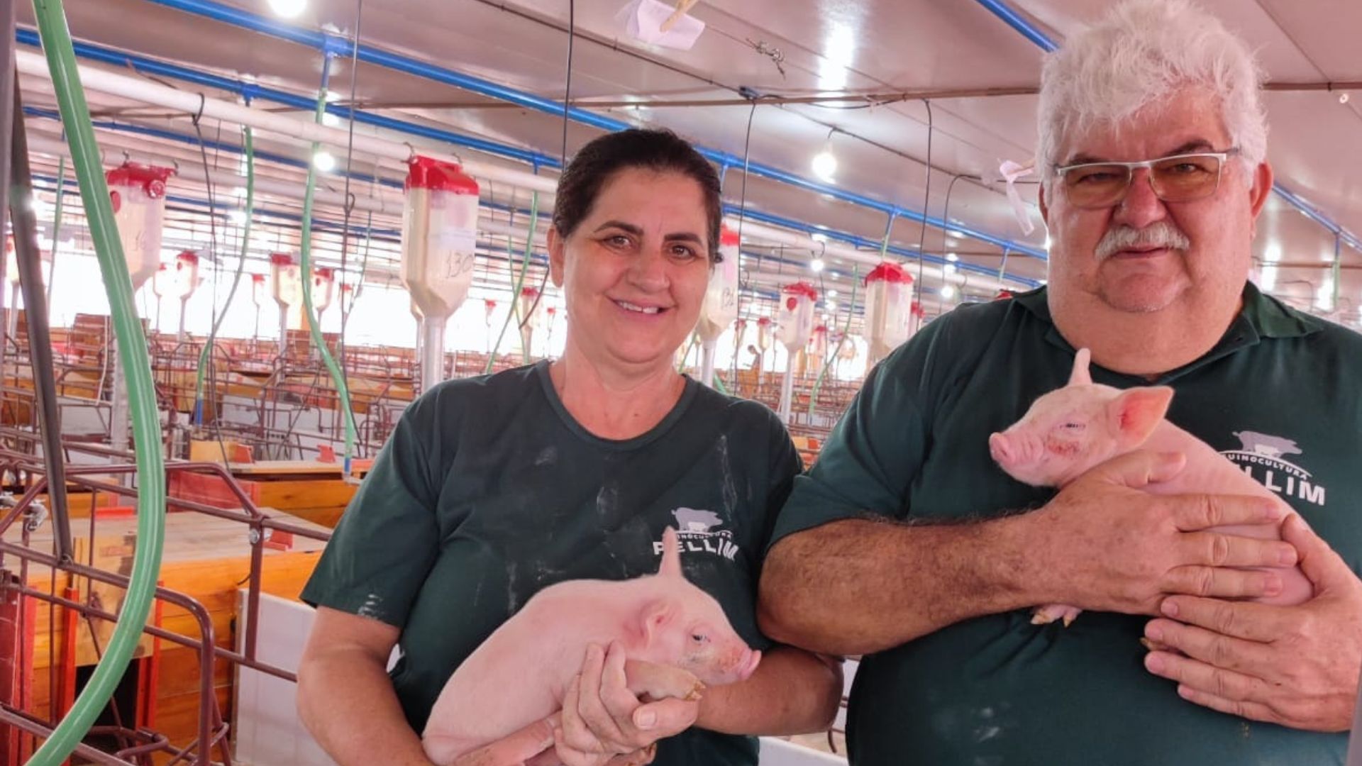 Patriarca deixa setor financeiro e transforma suinocultura em legado familiar