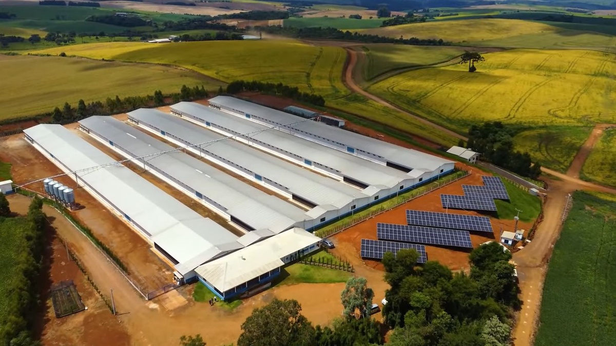 granja seara energia limpa