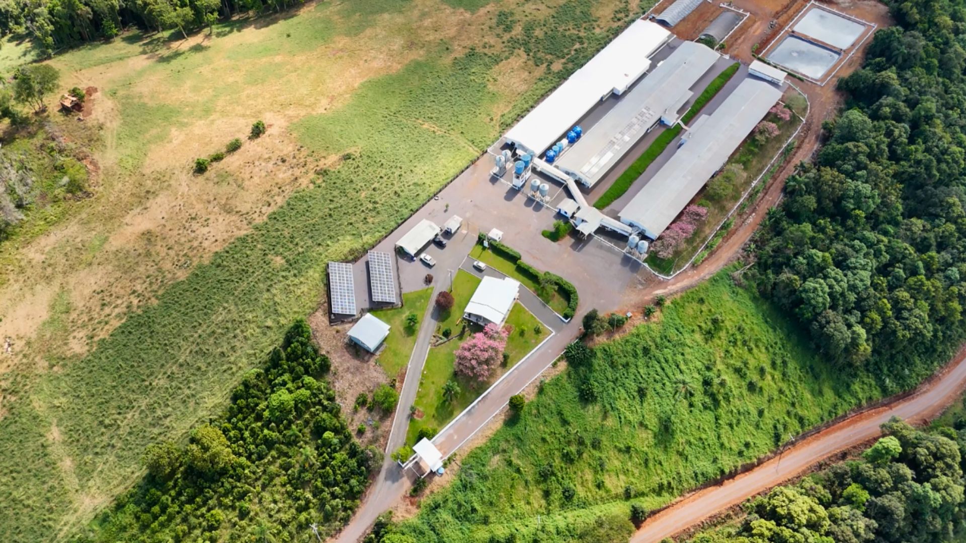 Prazo para adequação de granjas do RS às novas exigências de biosseguridade expira em maio