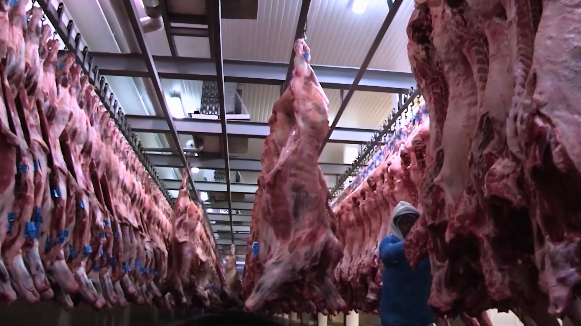 Singapura se torna a "porta de ouro" para a carne brasileira na Ásia