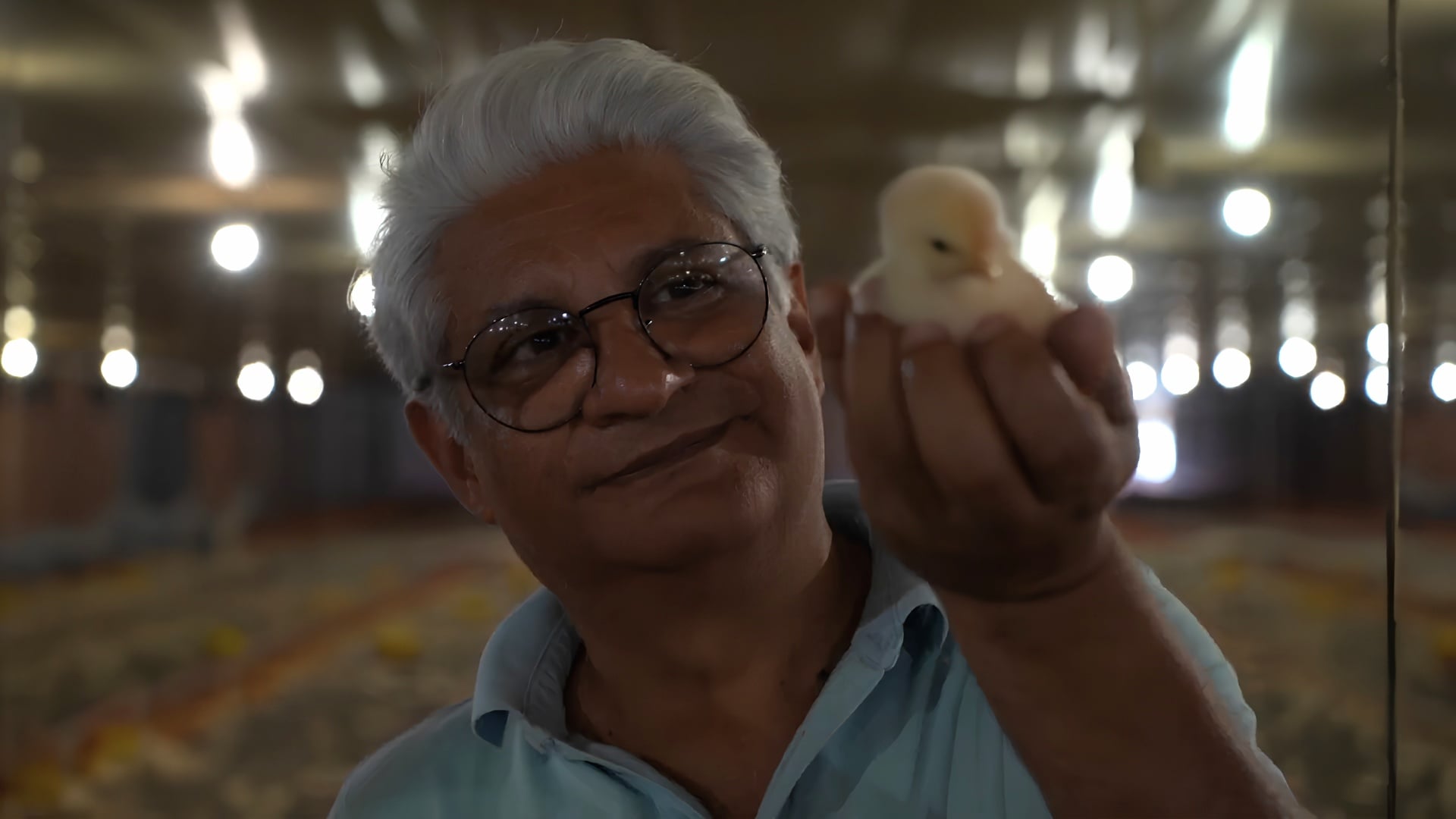 Dia Mundial do Frango: Conheça as famílias que trocaram tudo para criar impérios na avicultura 